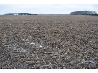 Property photo 12 - 175 Acres Offered in 5 Tracts - Tontogany, Ohio Farm Land Auction